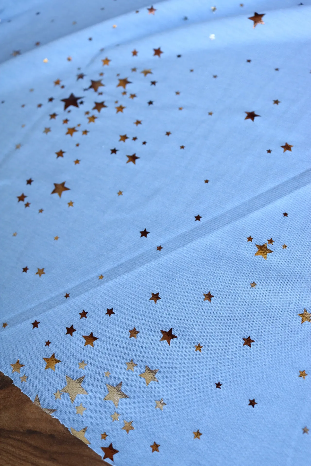 Stargazer 2 Tone Foil on Light Blue French Terry